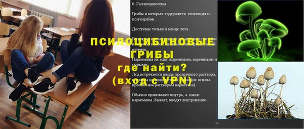 ешки Алексин