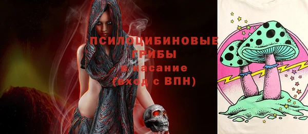 герыч Алзамай