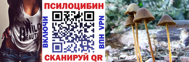 Псилоцибиновые грибы Psilocybine cubensis  закладка  даркнет телеграм  Кашира 