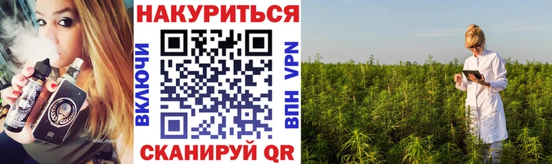 Канабис ГИДРОПОН цены Кашира